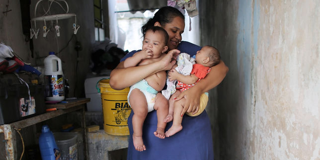 Au Brésil le mystère des jumeaux infectés par Zika