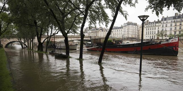 Crue de la Seine ,  Un scénario de crise est hautement probable 