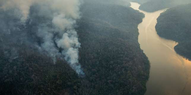 Déforestation au Brésil , l'opération  greenwashing  de Michel Temer fait long feu