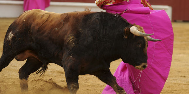Espagne , un jeune torero trouve la mort dans l'arène