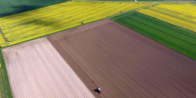 La Politique agricole commune n'a pas créé d'emploi selon le rapport d'un eurodéputé