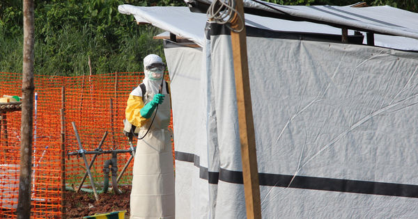 Le virus Ebola détecté en République démocratique du Congo