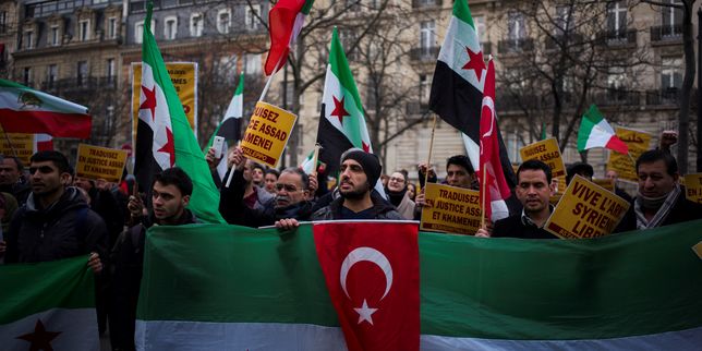 Manifestations de soutien aux civils d'Alep dans plusieurs villes de France
