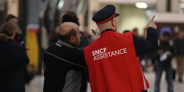 Mouvements sociaux , 105 % de grévistes à la SNCF vendredi contre 152 % jeudi