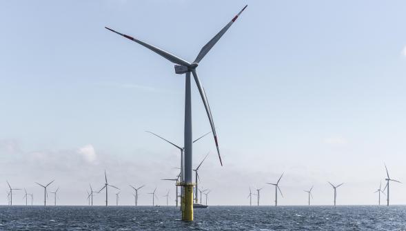 Ségolène Royal annonce l'implantation d'éoliennes offshore à Dunkerque